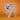 Pomeranian Macho