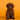 Caniche Toy Macho