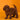 Caniche Toy Macho