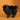 Pomeranian Macho