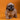 Shihtzu Hembra