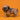 Shihtzu Hembra