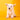 West Highland White Terrier Hembra