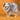 Pomeranian Merle Hembra