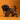 Shihtzu Macho
