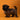 Shihtzu Macho