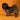 Shihtzu Macho