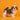 Shihtzu Macho