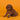 Cavapoo Macho