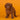 Cavapoo Hembra