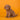 Cavapoo Macho