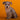 Schnauzer Hembra